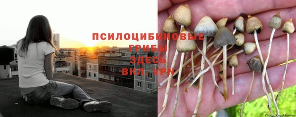 прущий лед Каменка