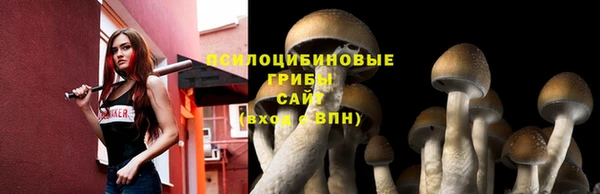 прущий лед Каменка