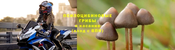 гашиш Каменногорск