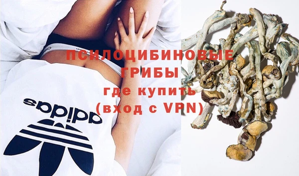 прущий лед Каменка