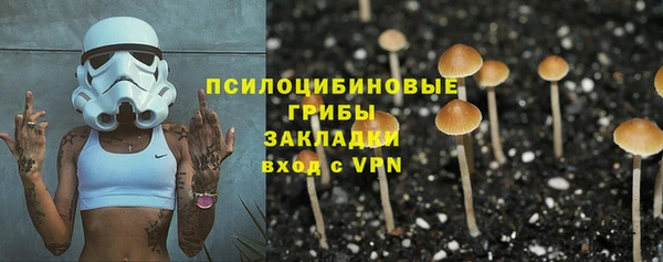 гашиш Каменногорск