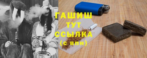 прущий лед Каменка