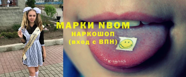 прущий лед Каменка