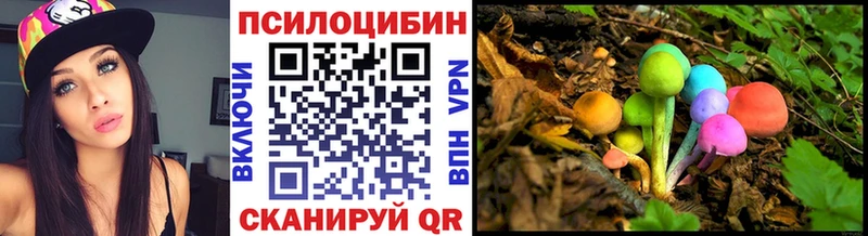 Купить  Саров  Псилоцибиновые грибы MAGIC MUSHROOMS 